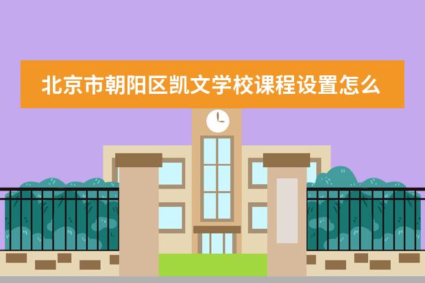 北京市朝阳区凯文学校课程设置怎么样呢？