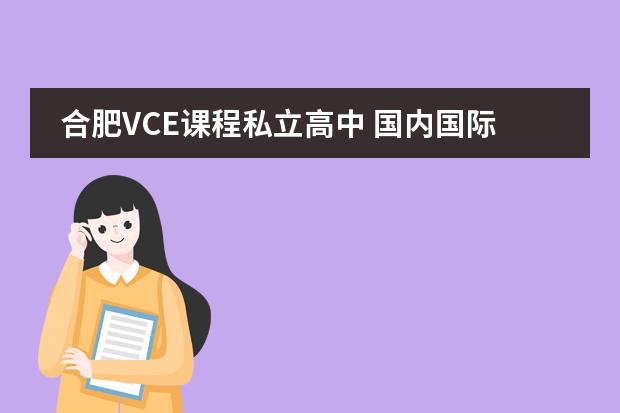 合肥VCE课程私立高中 国内国际高中学校排名