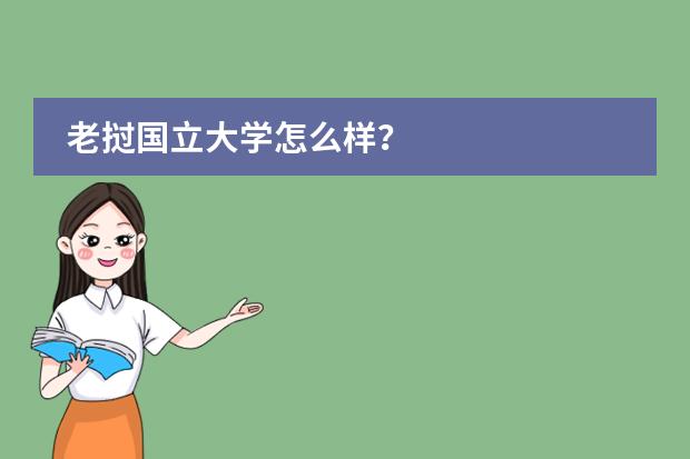 老挝国立大学怎么样？