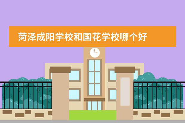 菏泽成阳学校和国花学校哪个好