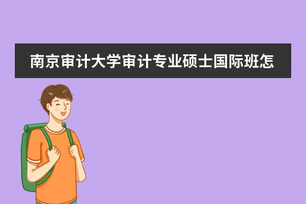 南京审计大学审计专业硕士国际班怎么样