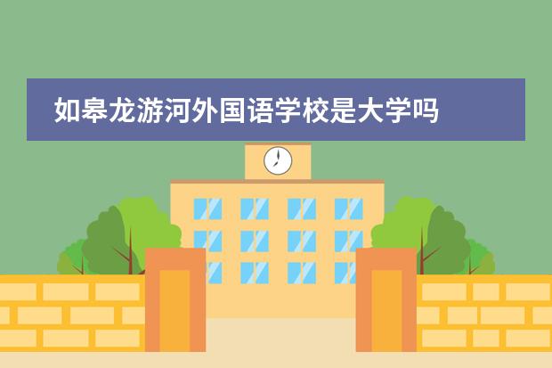 如皋龙游河外国语学校是大学吗