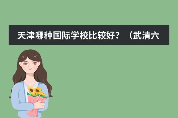 天津哪种国际学校比较好？（武清六力学校学费）